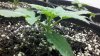 2011-07-08_15-15-23_659.jpg