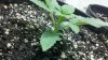2011-07-08_15-15-43_547.jpg