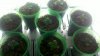 2011-07-07_09-03-14_604.jpg
