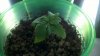 2011-07-07_09-05-40_807.jpg