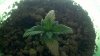 2011-07-07_09-06-10_828.jpg