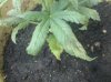 2011-07-09 14.07.51.jpg
