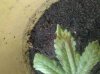 2011-07-09 14.07.58.jpg