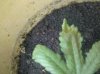 2011-07-09 14.07.41.jpg