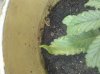 2011-07-09 14.07.46.jpg