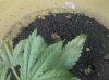 2011-07-09 14.07.37.jpg