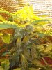 DSC00609.jpg