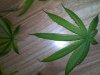 201107071149.jpg