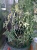 201107101155.jpg