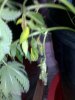 201107101152.jpg