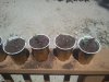 2011-07-10 13.39.46.jpg