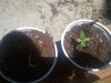2011-07-10 13.40.13.jpg