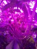 20110710154530.jpg
