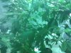 IMG_20110628_165126.jpg