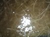 IMG_20110711_205217.jpg