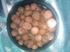 IMG_20110711_205149.jpg