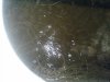 IMG_20110711_205223.jpg