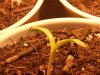 2011-07-12 13.27.51.jpg