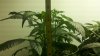 2011-07-12_13-19-45_964.jpg 2011-07-12_13-19-45_964.jpg