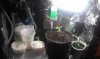 IMAG0323.jpg