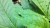 2011-07-13_20-14-43_445.jpg