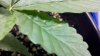 2011-07-13_20-14-23_258.jpg