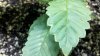 2011-07-13_20-14-10_783.jpg