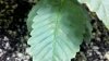 2011-07-13_20-14-03_953.jpg