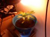 062107_1941[01].jpg