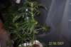 000_0151.jpg