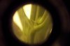 100_1377.jpg