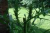 DSC02465.jpg