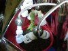 DSCN3567.jpg