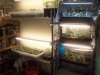 grow 001.jpg