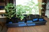 DSC00126.jpg