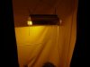 7-15-11 (2)    New HPS LIght .jpg