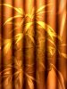 IMG00053-20110716-1658.jpg IMG00053-20110716-1658.jpg