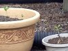 20110708173422.jpg