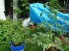 DSC03842.jpg