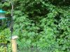 DSC03841.jpg