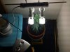 DSC00167.jpg
