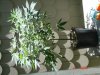 DSC02666.jpg