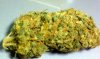 bud2.jpg