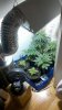 2011-07-19_18-19-20_639.jpg