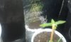 IMAG0334.jpg