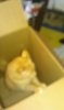 IMAG0349.jpg