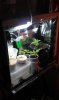 IMAG0367.jpg