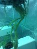 IMG_20110719_180939.jpg