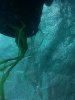 IMG_20110719_180946.jpg