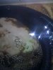 IMG_20110719_181035.jpg